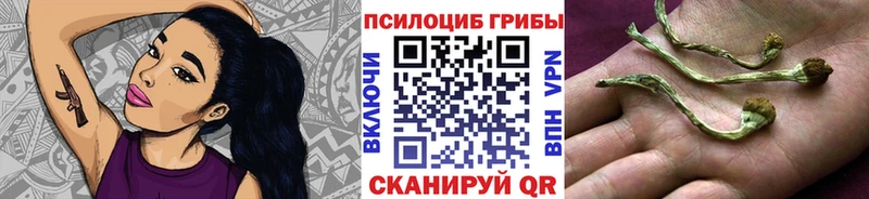 Галлюциногенные грибы Cubensis  Новоалександровск 